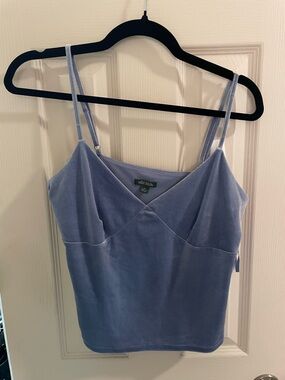 wild fable Light Blue Velvet Cami